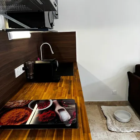 Furnished 2-room With Terrace