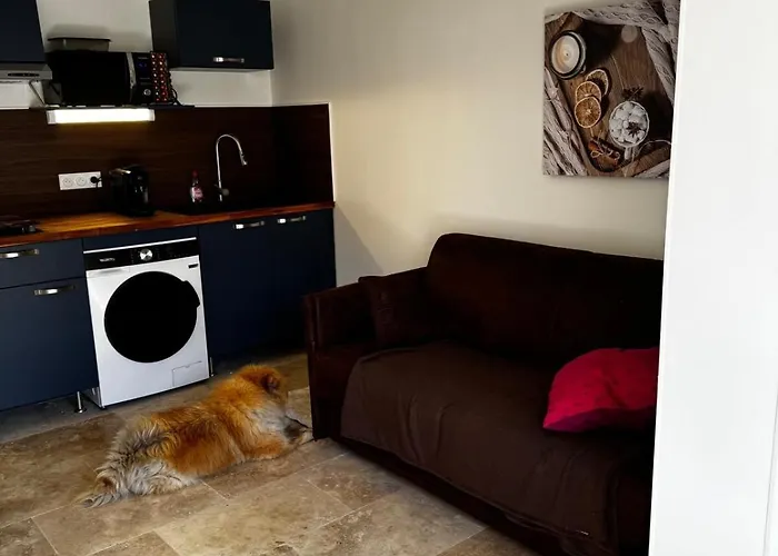 Furnished 2-room With Terrace * Agde